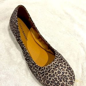 Leopard ballet flats